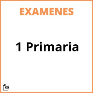 Examen 1 Primaria