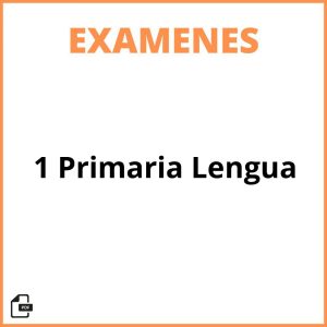 Examen 1 Primaria Lengua