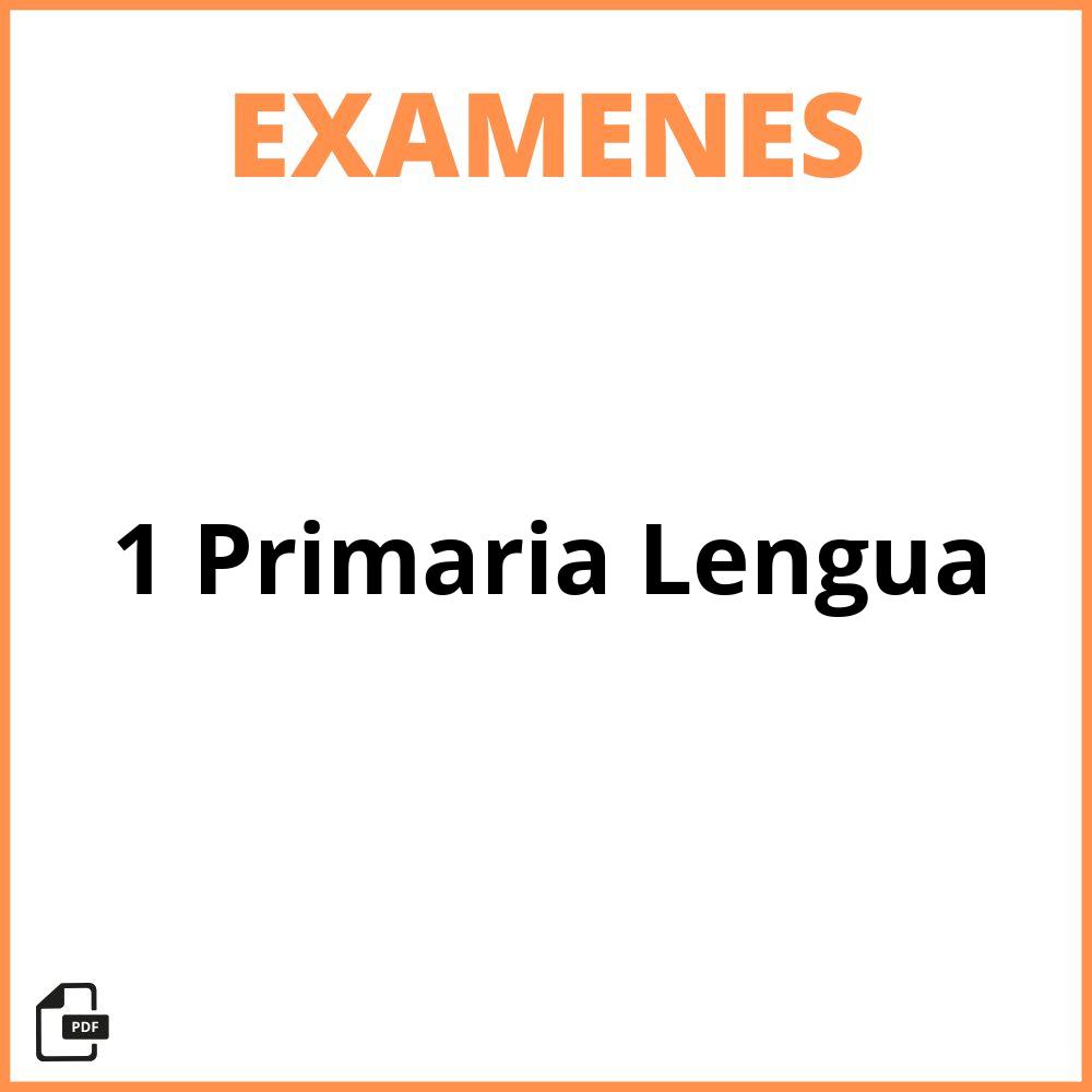 Examen 1 Primaria Lengua