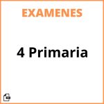 Examen 4 Primaria