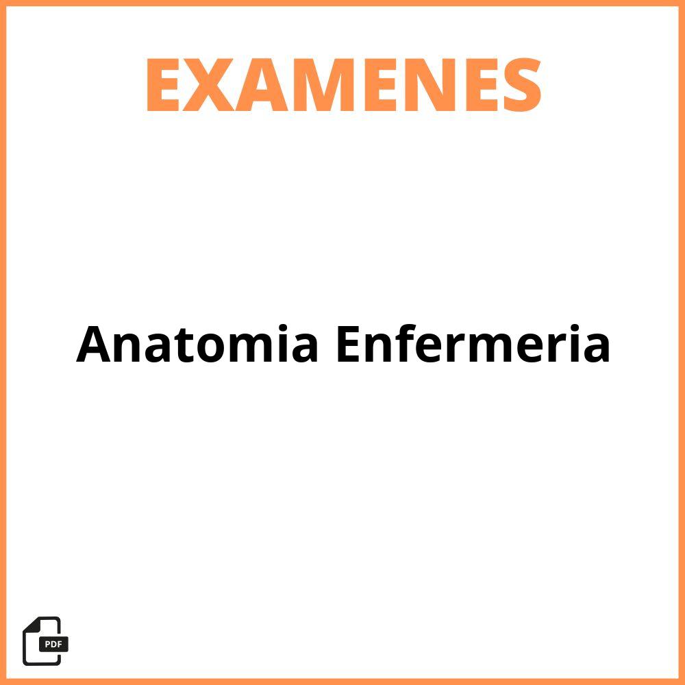 Examenes Anatomia Enfermeria