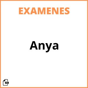 Examen De Anya