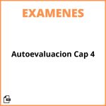 Autoevaluación Cap 4