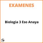 Biologia 3 Eso Examenes Resueltos Anaya