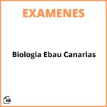Examen Biologia Ebau Canarias