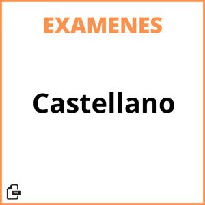 Examen De Castellano