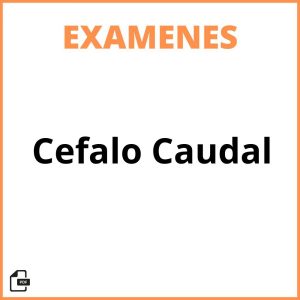 Examen Cefalo Caudal