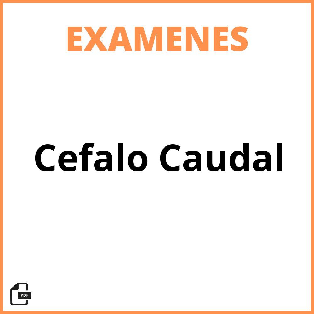 Examen Cefalo Caudal