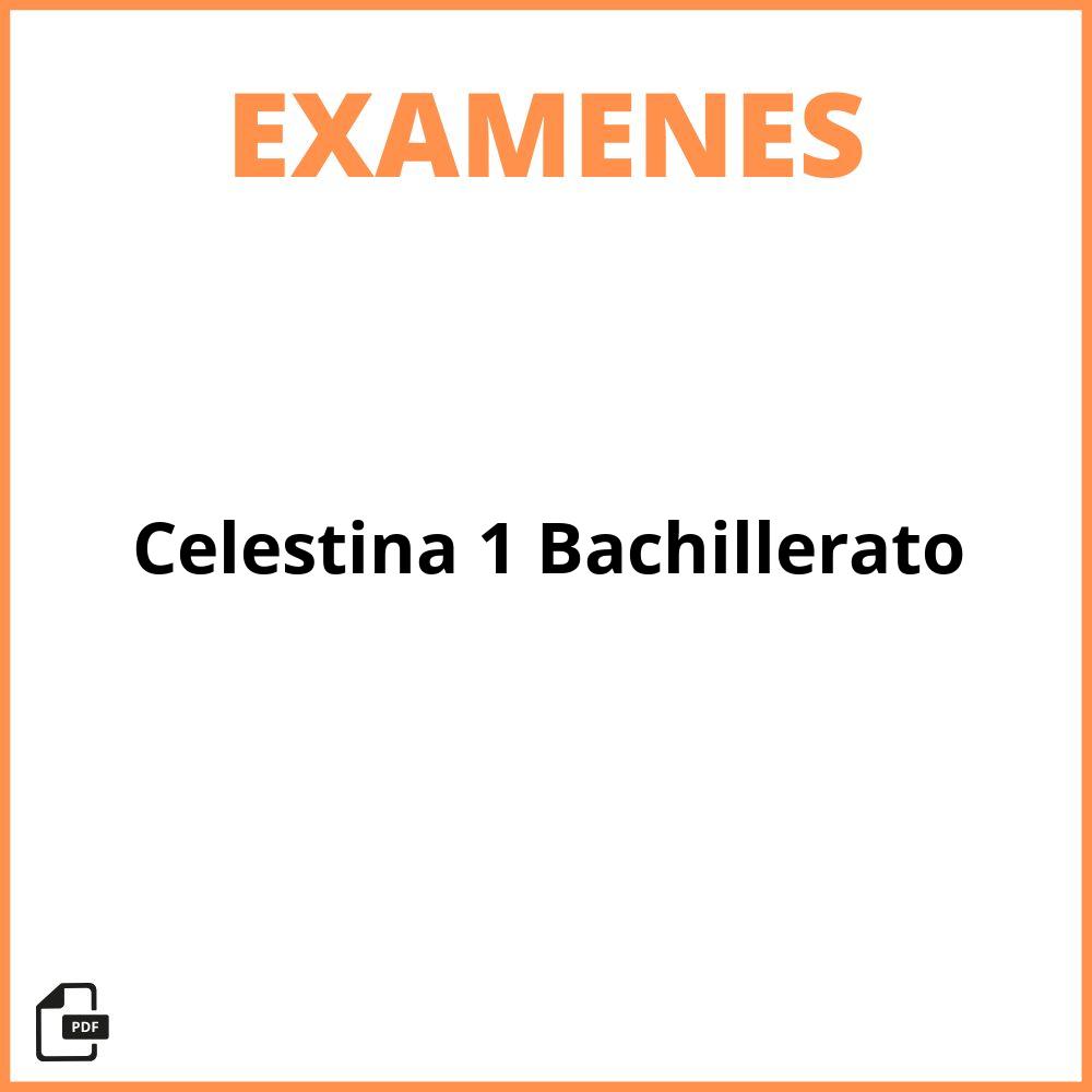 Examen Celestina 1 Bachillerato