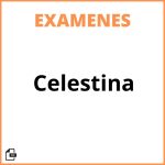 Examen Celestina