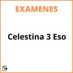 Examen Celestina 3 Eso