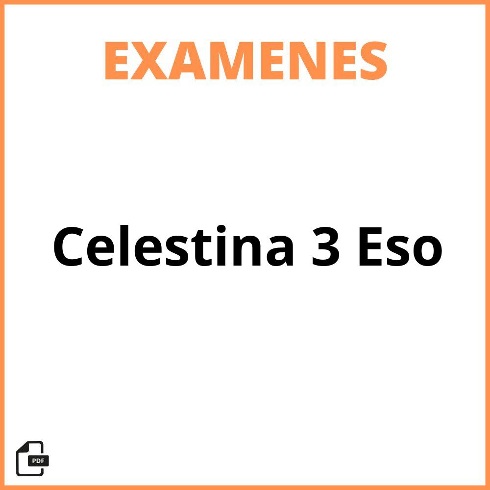 Examen Celestina 3 Eso