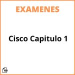 Examen Cisco Capitulo 1