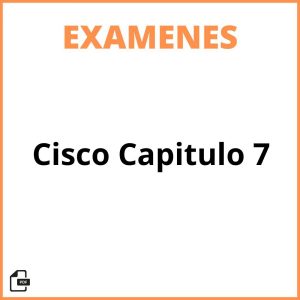 Examen Cisco Capitulo 7