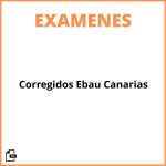 Examenes Corregidos Ebau Canarias