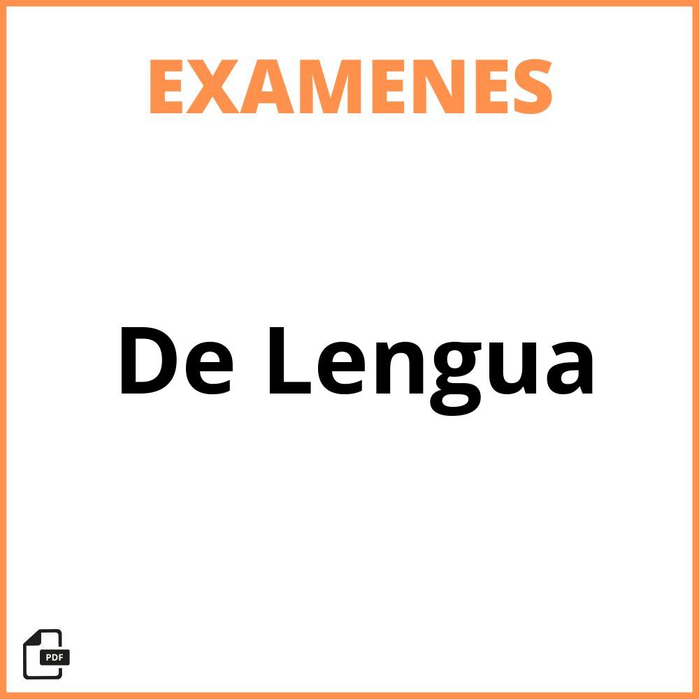 Evaluaciones De Lengua