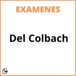 Examen Del Colbach
