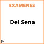 Examen Del Sena Resuelto
