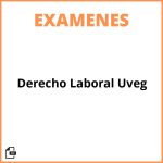 Examen Derecho Laboral Uveg