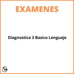 Evaluacion Diagnostica 3 Basico Lenguaje