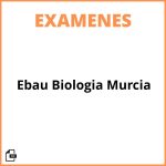 Examen Ebau Biologia Murcia