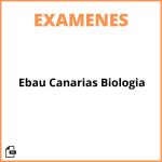 Examen Ebau Canarias Biologia