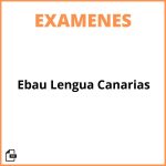 Examen Ebau Lengua Canarias
