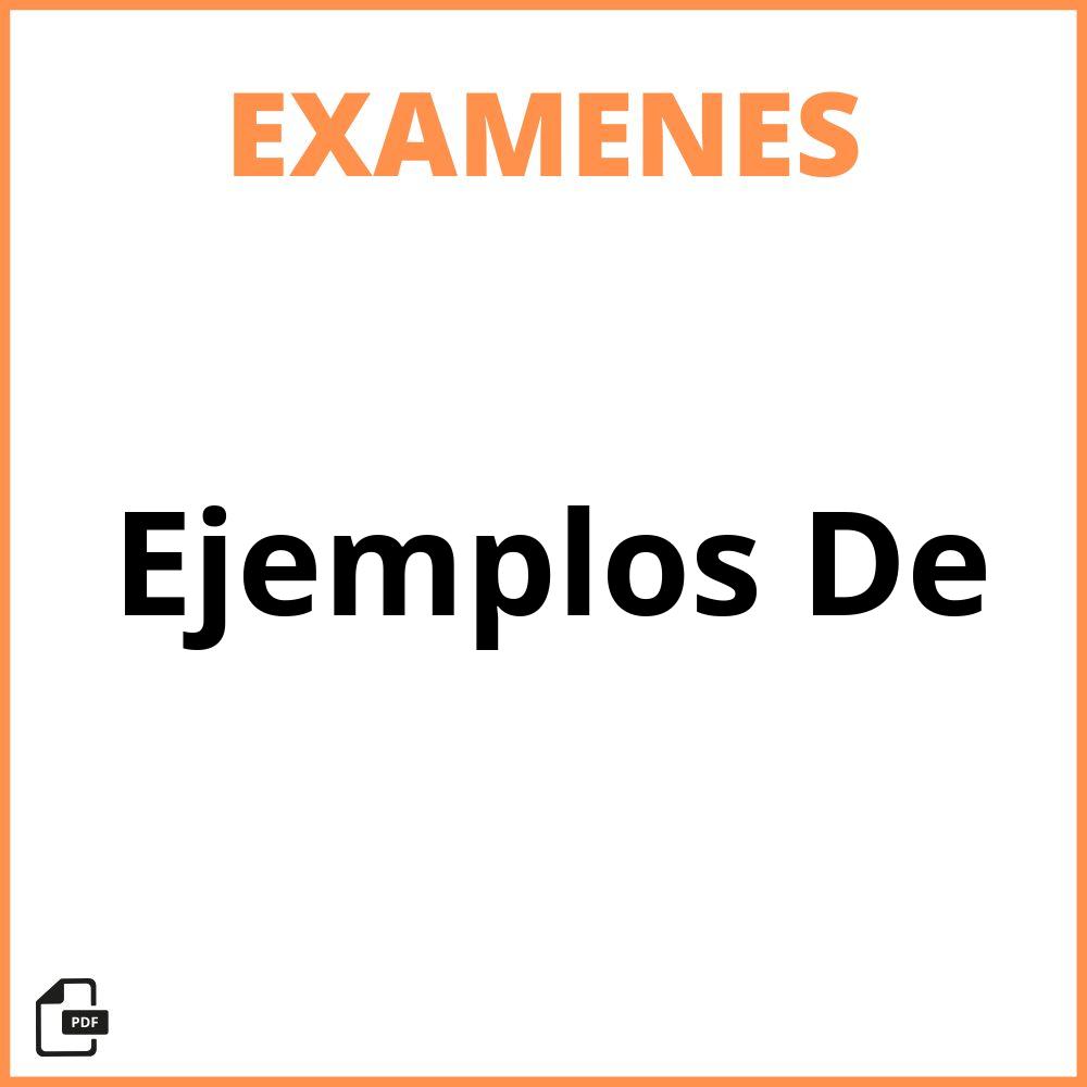 Ejemplos De Examenes