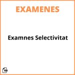 Examnes Selectivitat
