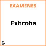 Examen Exhcoba
