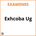 Examen Exhcoba Ug