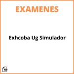 Examen Exhcoba Ug Simulador