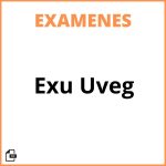 Examen Exu Uveg