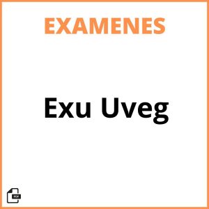 Examen Exu Uveg