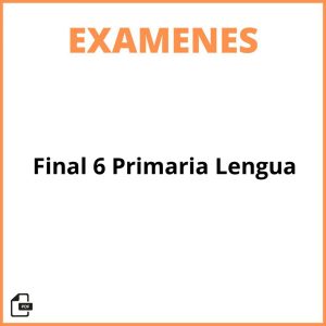 Examen Final 6 Primaria Lengua
