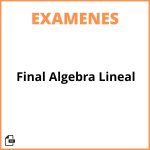 Evaluacion Final Algebra Lineal
