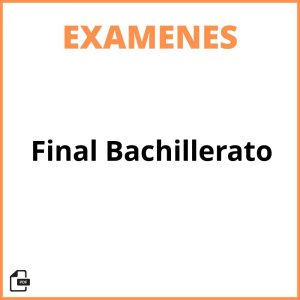 Examen Final Bachillerato