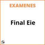 Examen Final Eie