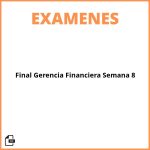 Examen Final Gerencia Financiera Semana 8