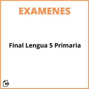 Examen Final Lengua 5 Primaria Pdf