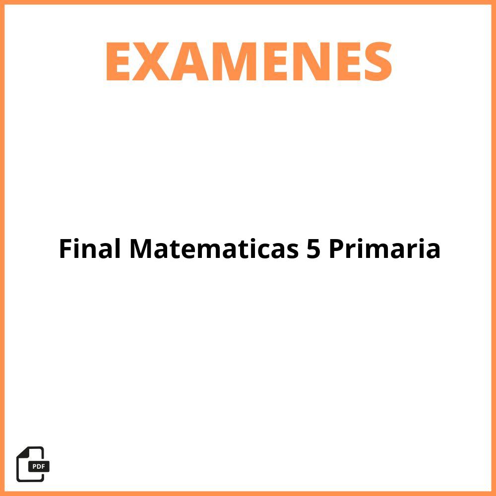 Examen Final Matematicas 5 Primaria Pdf