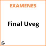 Examen Final Uveg