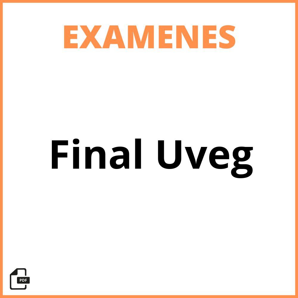 Examen Final Uveg