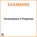 Examen De Formulacion Y Evaluacion De Proyectos