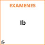 Examenes Ib