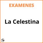 Examen De La Celestina
