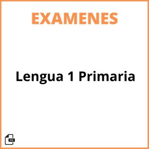 Examen De Lengua 1 Primaria