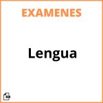 Examen De Lengua