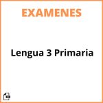 Examen De Lengua 3 Primaria