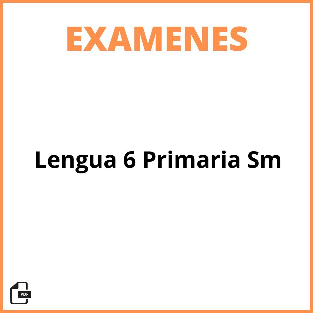 Examen Lengua 6 Primaria Sm